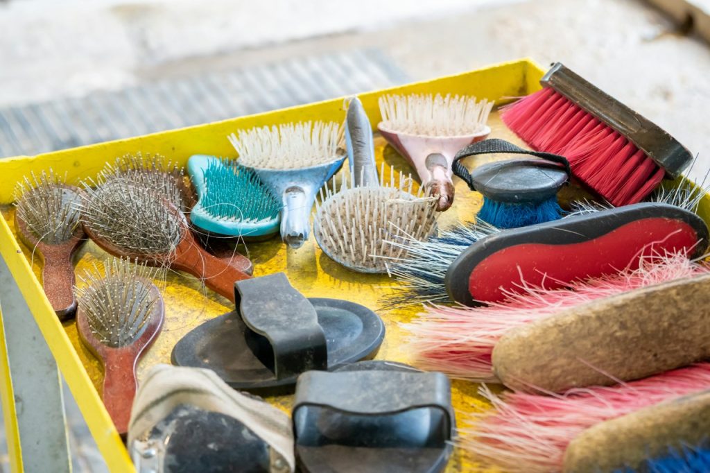 Complete Feline Wellness Grooming Kit