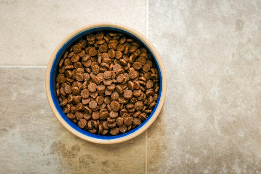 Hypoallergenic Grain-Free Puppy Kibble